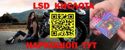 Альфа ПВП Кандалакша