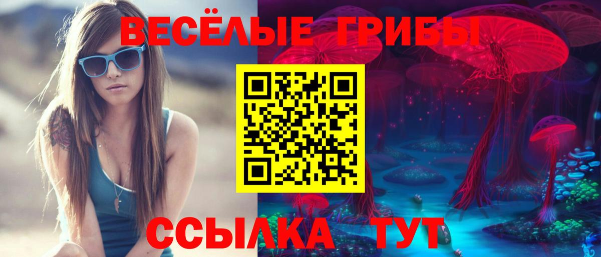 Псилоцибиновые грибы Psilocybine cubensis Южноуральск